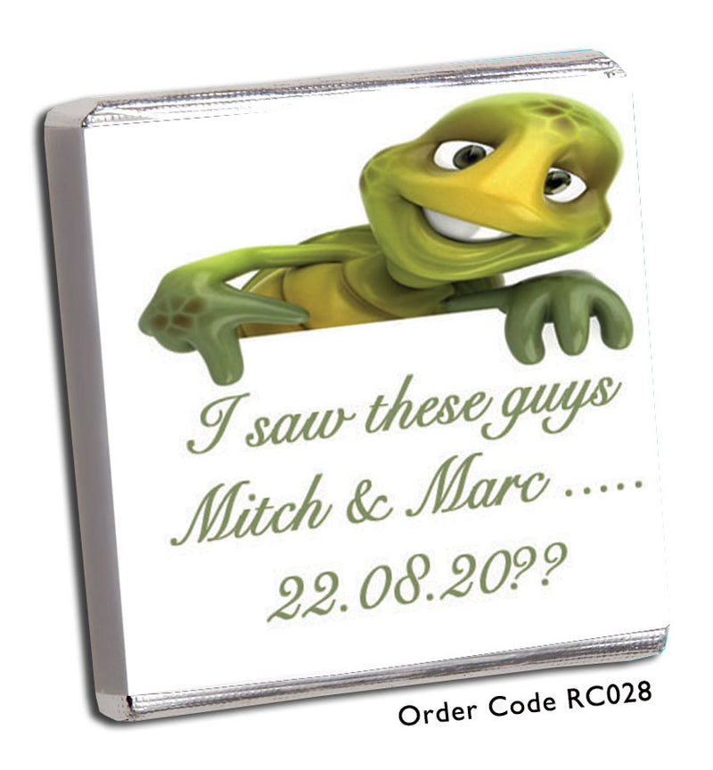 cartoon image of a turtle.